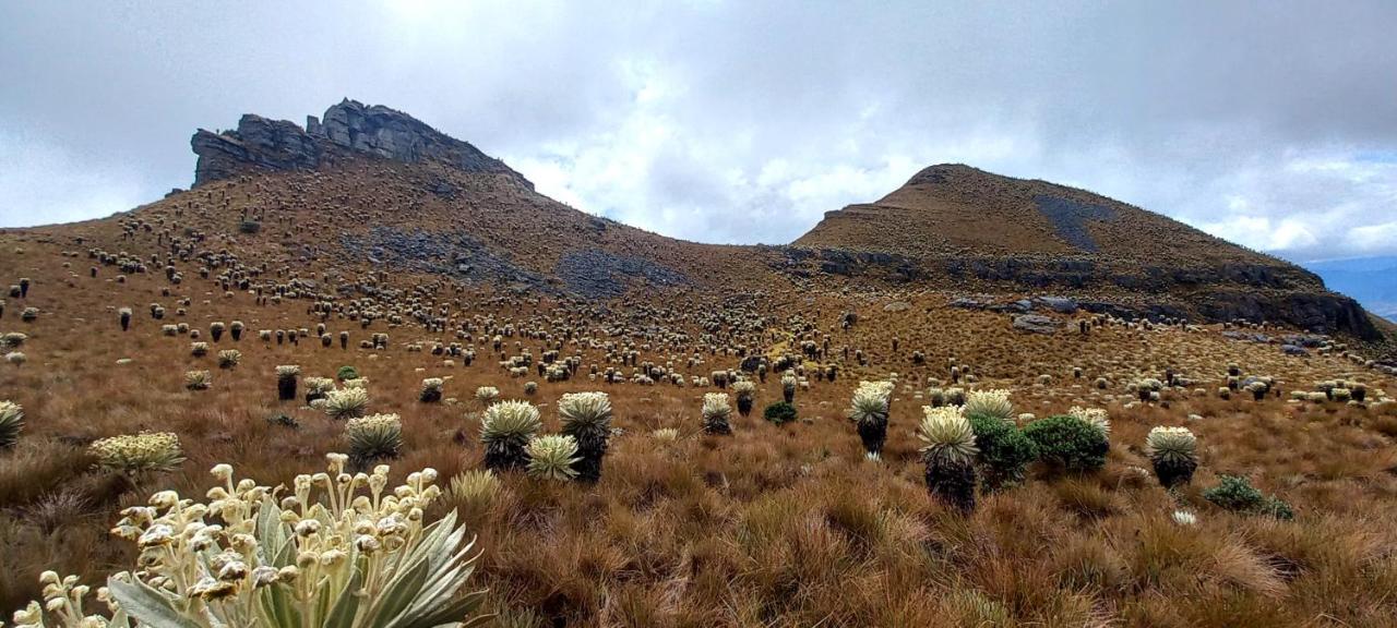 Hospedaje Y Camping Del Rio Monguí Eksteriør billede