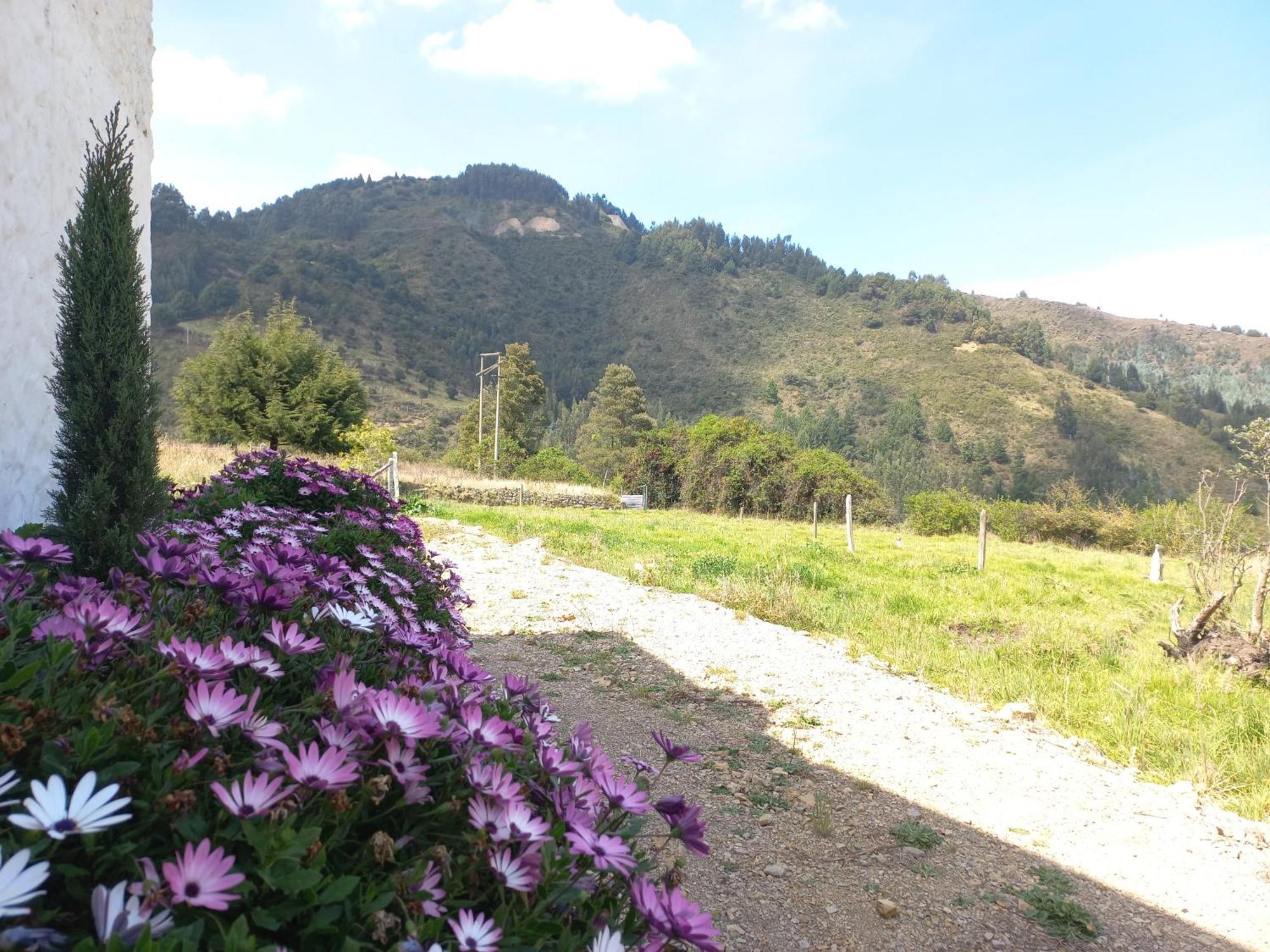 Hospedaje Y Camping Del Rio Monguí Eksteriør billede