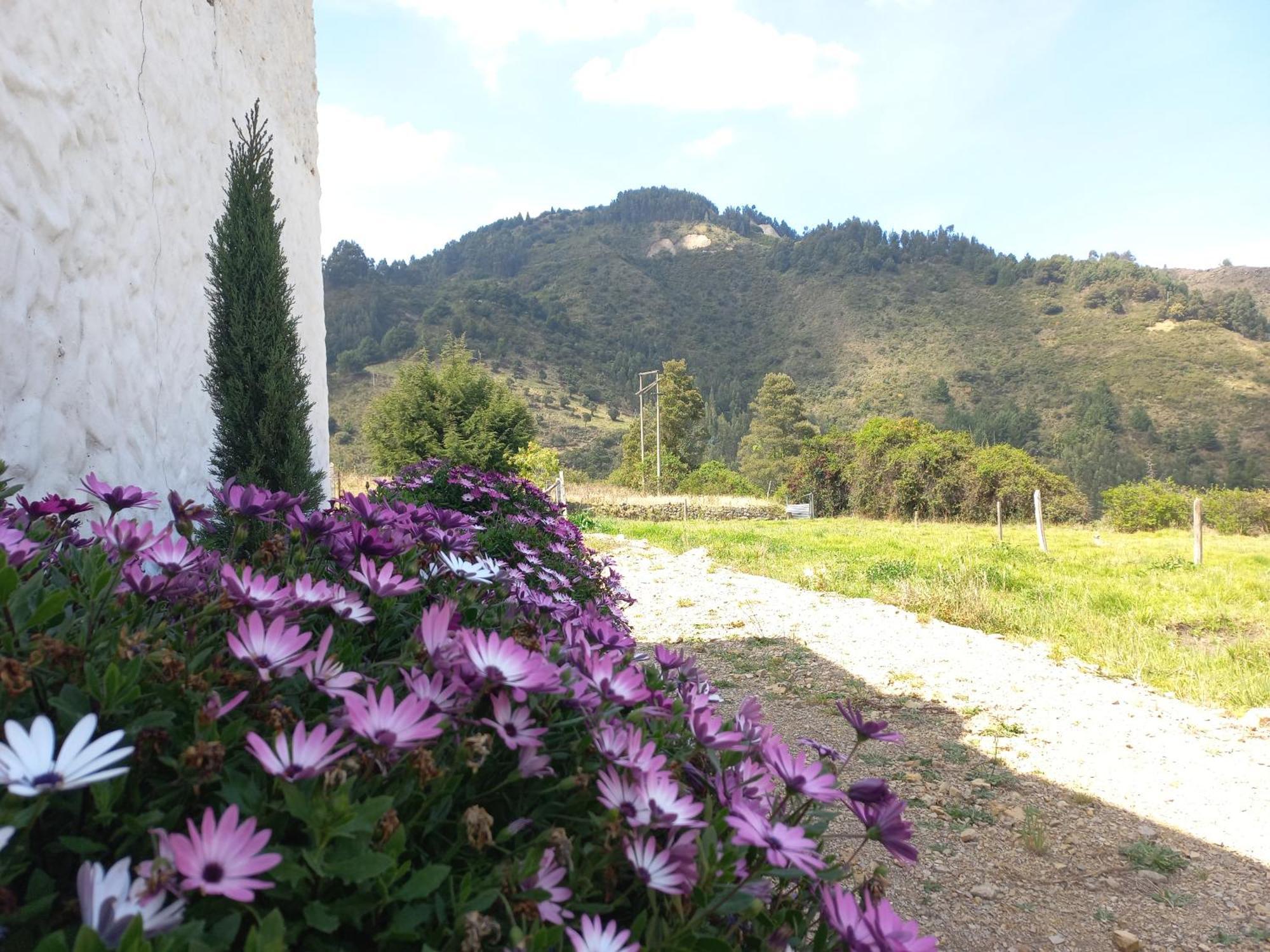 Hospedaje Y Camping Del Rio Monguí Eksteriør billede