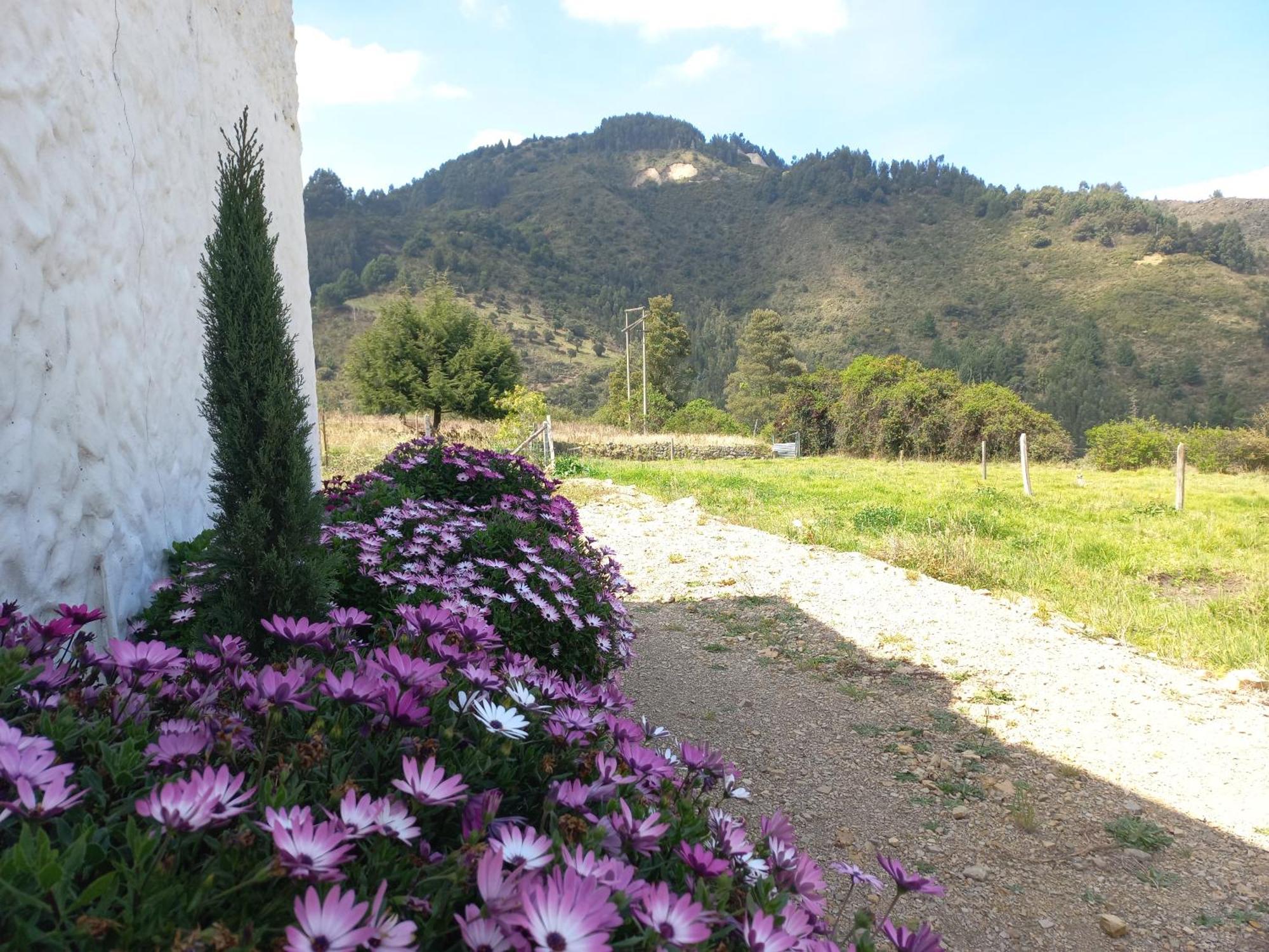 Hospedaje Y Camping Del Rio Monguí Eksteriør billede